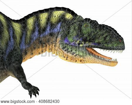 Aucasaurus Dinosaur Head 3d Illustration - Aucasaurus Was A Carnivorous Theropod Dinosaur That Lived