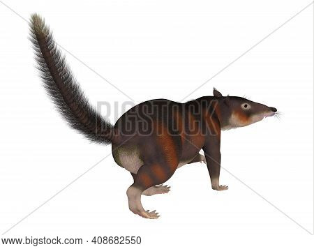 Cronopio Mammal Tail 3d Illustration - Cronopio Is An Extinct Carnivorous Mammal That Lived In South