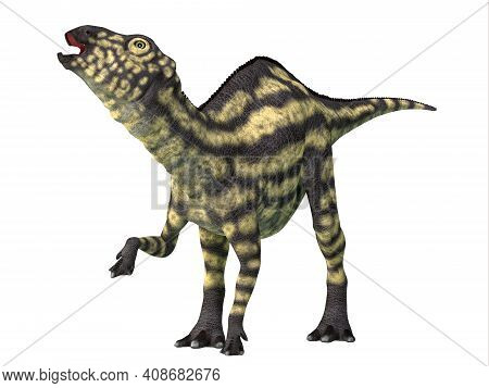 Maiasaura Juvenile Dinosaur 3d Illustration - Maiasaura Was A Herbivorous Duck-billed Hadrosaur Dino