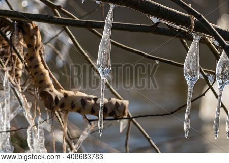 Light Reflected Through Icicles At A River In Winter Time