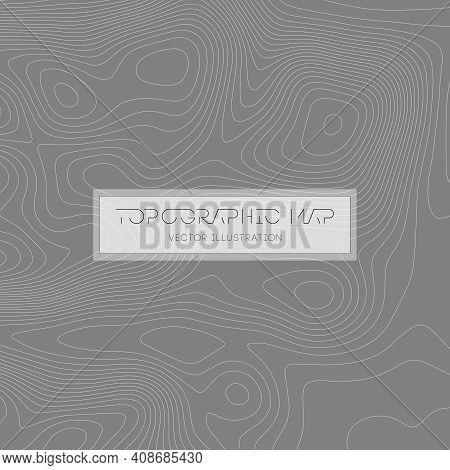 Abstract Paper Cut Shapes. Topographic Map On White Background. Topo Map Elevation Lines. Contour Ve