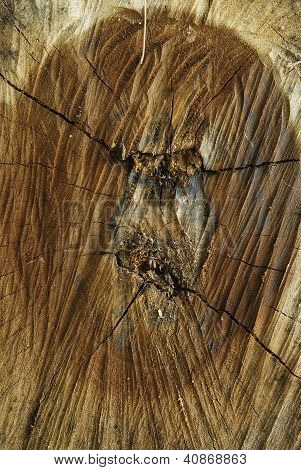 Fondo in legno