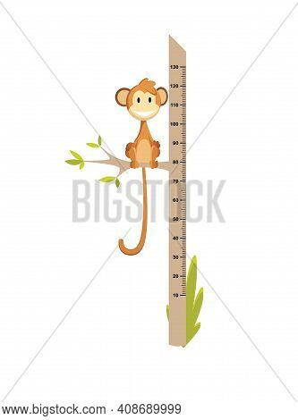 Wall Meter With Little Monkey. Sticker For Measuring Height Kids. Funny Vector Cartoon Illustration 