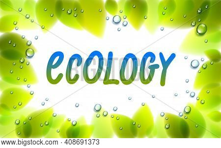 Ecology Word Drawn On A Window, Fresh Green Leaves And Water Rain Drops Or Condensate Macro, Vector 