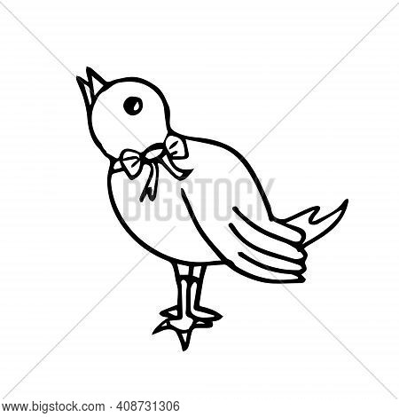 A Doodle Bird Isolated On A White Background Stands Sideways With A Bow Around Its Neck. Vector Bird