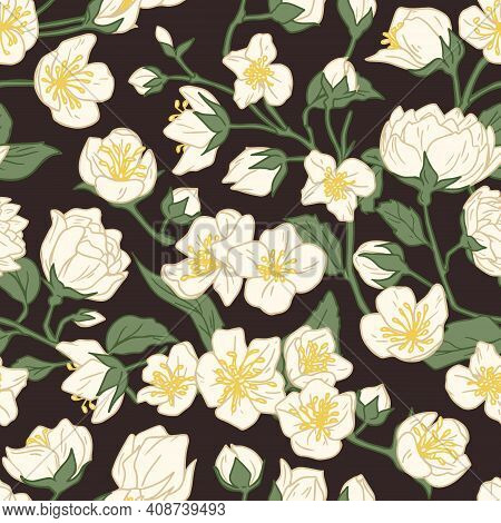Seamless Pattern Of Blossomed Jasmine Flowers On Dark Background. Design Of Floral Repeatable Backdr