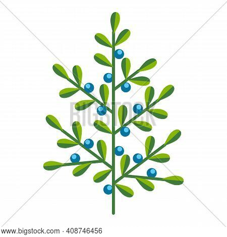 Simple Minimalistic Bright Green Branch With Blue Berries. Flower Collection Of Colorful Plants For 