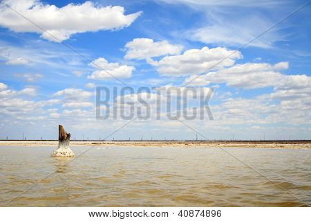 Salt Lake Baskunchak, Russia