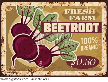 Beetroot Metal Plate Rusty, Beet Root Vegetables, Vector Retro Poster. Farm Market Food Price Menu F