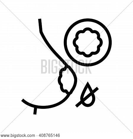 Chest Pad To Keep Milk From Leaking Line Icon Vector. Chest Pad To Keep Milk From Leaking Sign. Isol