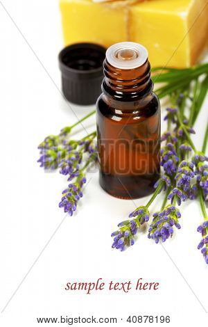 lavendel spa (frisk lavendel blomster, æterisk olie, sæbe) over hvide (med let aftagelige tekst)