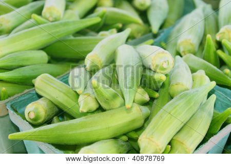 Okra