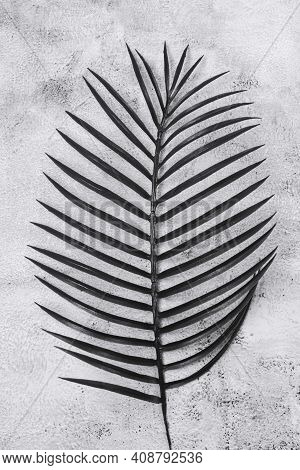 Creative Nature Layout Made Of Fake Tropical Leaf On Concrite Background Flat Lay Summer Minumal Con