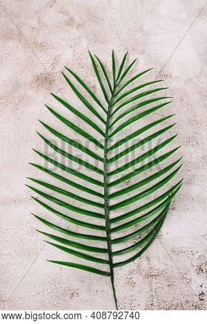 Creative Nature Layout Made Of Fake Tropical Leaf On Concrite Background Flat Lay Summer Minumal Con