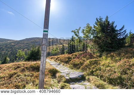 Green Trail To Labski Szczyt Mountain In Polish Giant Mountains