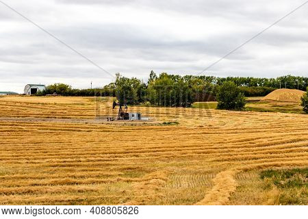 Iron Horse In A Wheat Field. Kneehill, Alberta, Canada
