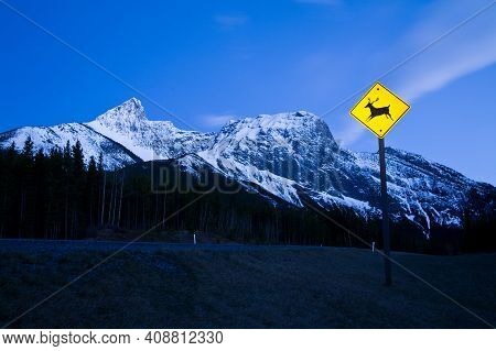 Caution Deer Or Wildlife Sign In The Mountains At Night In Kananaksis, Alberta, Canada