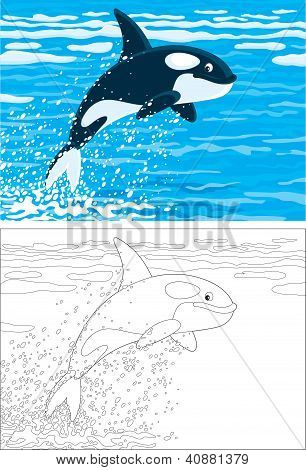 Orka