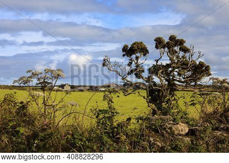 Madron (england), Uk - August 16, 2015: Typical Cornwall Landscape, Cornwall, England, United Kingdo