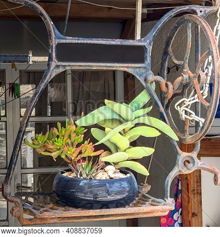 Flower Stand Made From Old Sewing Machine With Foot Pedal Near Residential Building