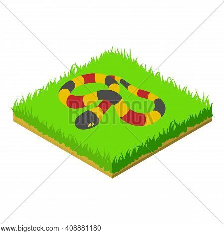 Coral Snake Icon. Isometric Illustration Of Coral Snake Vector Icon For Web