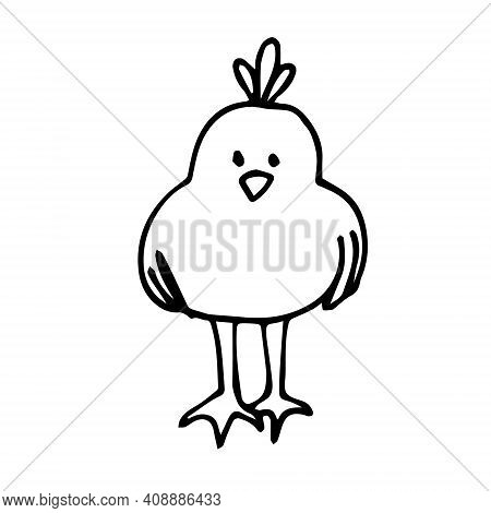 Doodle Bird Isolated On A White Background. Vector Bird Can Be Used In Seasonal Design For Easter, C