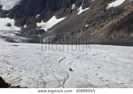 Autobus tundra sul ghiacciaio Athabasca - parco nazionale Jasper