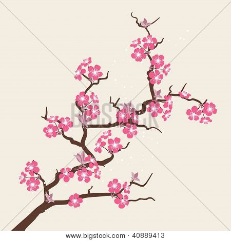 การ์ดดอกไม้เชอร์รี่สุกใส