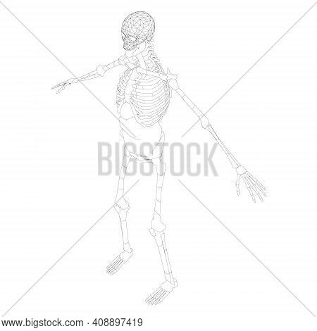 Contour Human Vector & Photo (Free Trial) | Bigstock