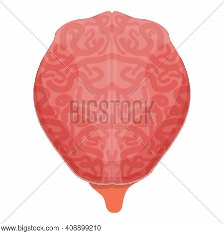 Human Brain Power Icon. Cartoon Of Human Brain Power Vector Icon For Web Design Isolated On White Ba