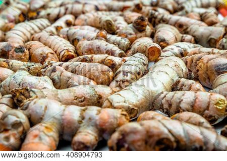 Turmeric Roots Closeup. Fresh Harvest Of Many Turmeric Roots Background Texture.
