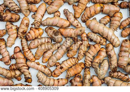 Turmeric Roots Closeup. Fresh Harvest Of Many Turmeric Roots Background Texture.