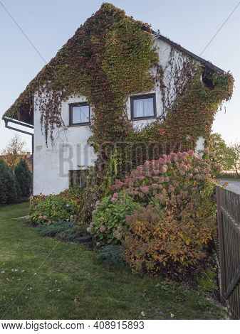 Overgrown Front Facede Of White Country House And Garden With Beautiful Various Hydrangea Flowers An