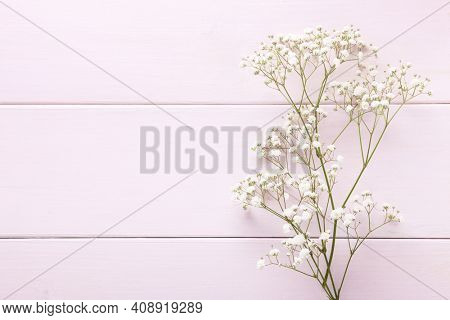 Few twigs of Gypsophila flowers lay on light pink wooden background.  Top view with copy space. Flat lay