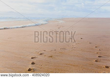 Atlantic Ocean Coast Portugal Nazare. Coastline, Wave And Foam. Escape And Slow Life Concept. Cinema