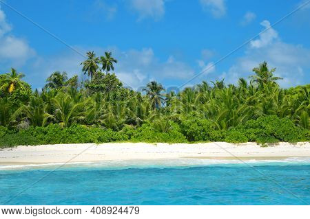Coconut palm trees on sand beach of the island Grande Soeur near La Digue, Indian Ocean, Seychelles.