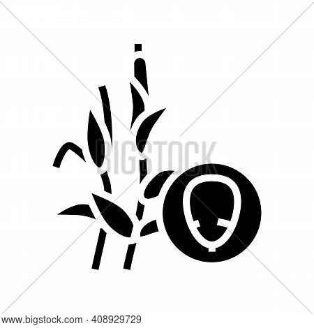 Corn Groat Glyph Icon Vector. Corn Groat Sign. Isolated Contour Symbol Black Illustration