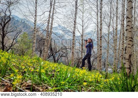 A Man Shoots A Photo In The Spring Birch Forest. Fresh Young Grass And Wildflowers. Alma-ata's Regio