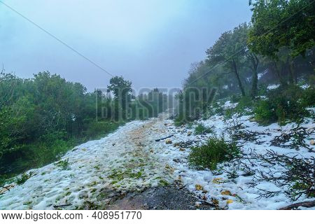 View Of Footpath In A Forest, On A Rare Snowy Day, On Mount Adir, Northern Israel