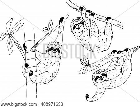 Seamless Pattern Witch Sloth Bear In Doodle  Style,vector