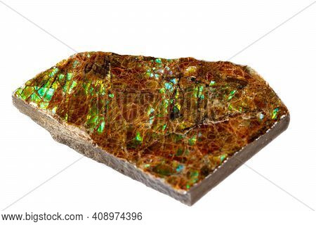 Macro Of The Mineral Stone Ammolite On White Background