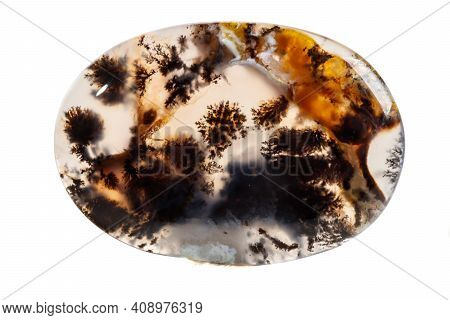 Macro Mineral Stone Moss Agate, Agata Muschiataan