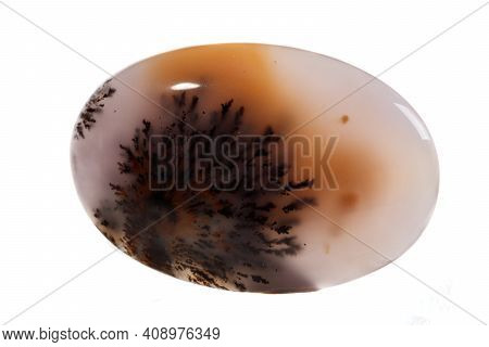 Macro Mineral Stone Moss Agate, Agata Muschiataan