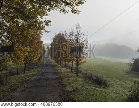 Rural Country Road, Alley With Autumn Colored Yellow Maple Trees With Sign Board Notice End Of Villa