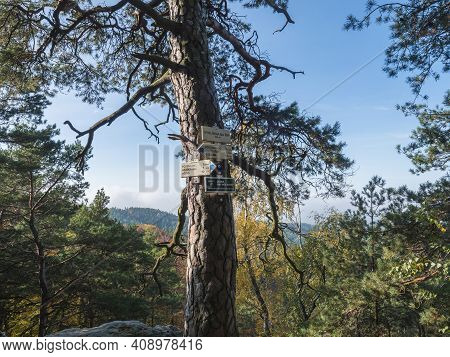Czech Republic, Houska, October 25, 2020: Tree Trunk With Tourist Signpost Or Guidepost Vyhlidka Na 