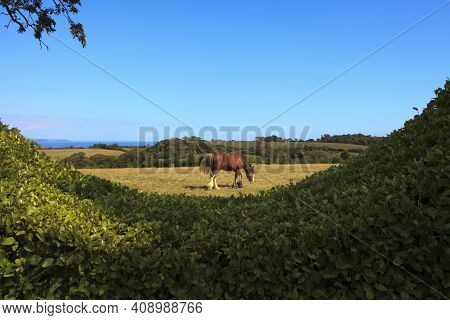 Saint Austell (england), Uk - August 19, 2015: The Lost Gardens Of Heligan, Cornwall, England, Unite