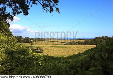 Saint Austell (england), Uk - August 19, 2015: The Lost Gardens Of Heligan, Cornwall, England, Unite