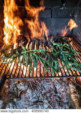 Fire In Fireplace With Calçots Typical Food Of Valls Tarragona
