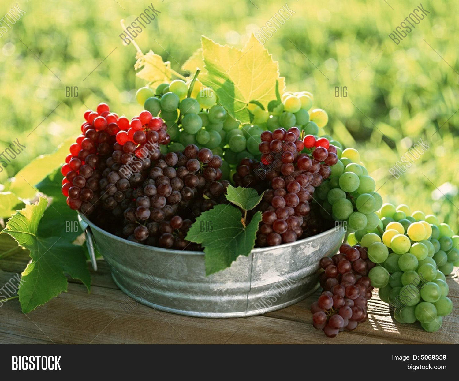 Beautiful Fruits Image & Photo (Free Trial) Bigstock