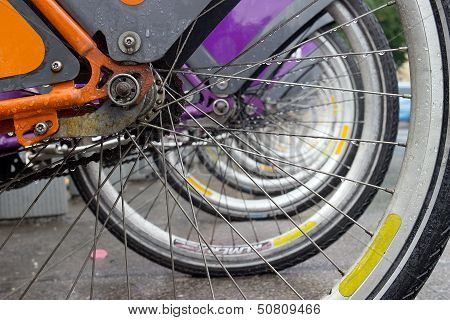 Row of Bikes